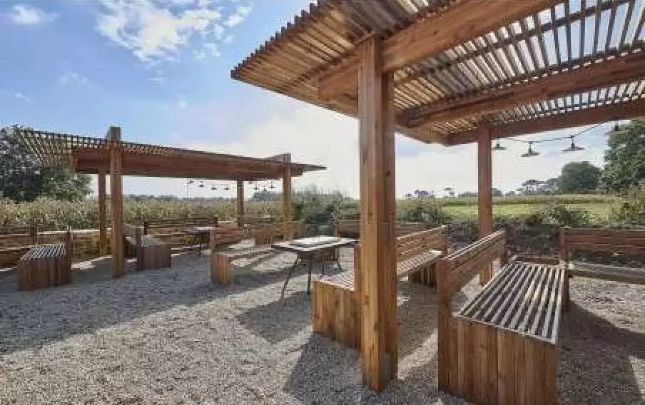 pergola bois manea pin marron l 6 m x l 4 m x h 2 81 m 01