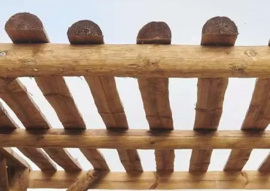 pergola esmee ronds bruts 04